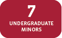 7 Undergraduate Minors