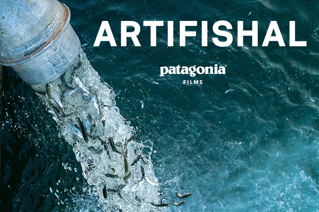 Artifishal