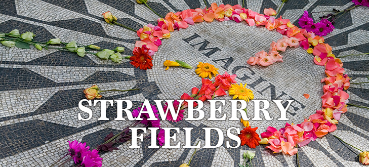 Strawberry Fields