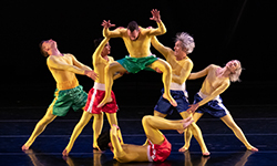 Pilobolus