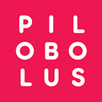 Pilobolus Pilobolus