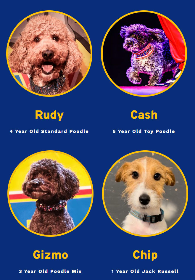 Puppy Pals Live Stars Rudy Cash Gizmo Chip