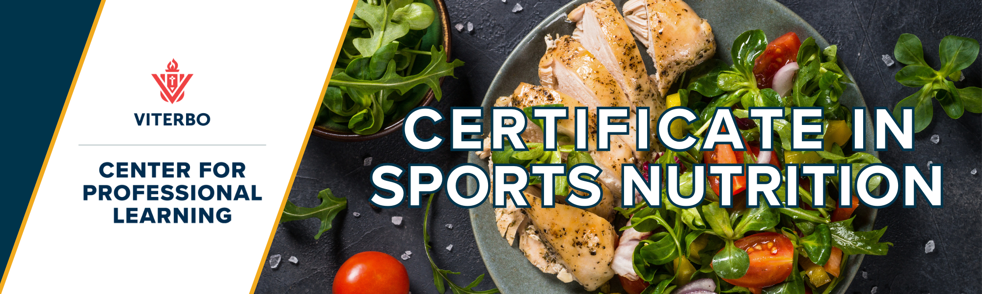 Web Header Sports Nutrition.png