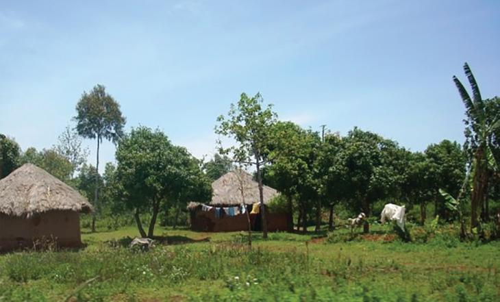 Village in Kenya