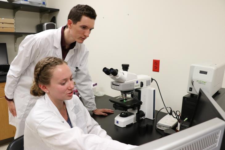 Viterbo summer research project participants