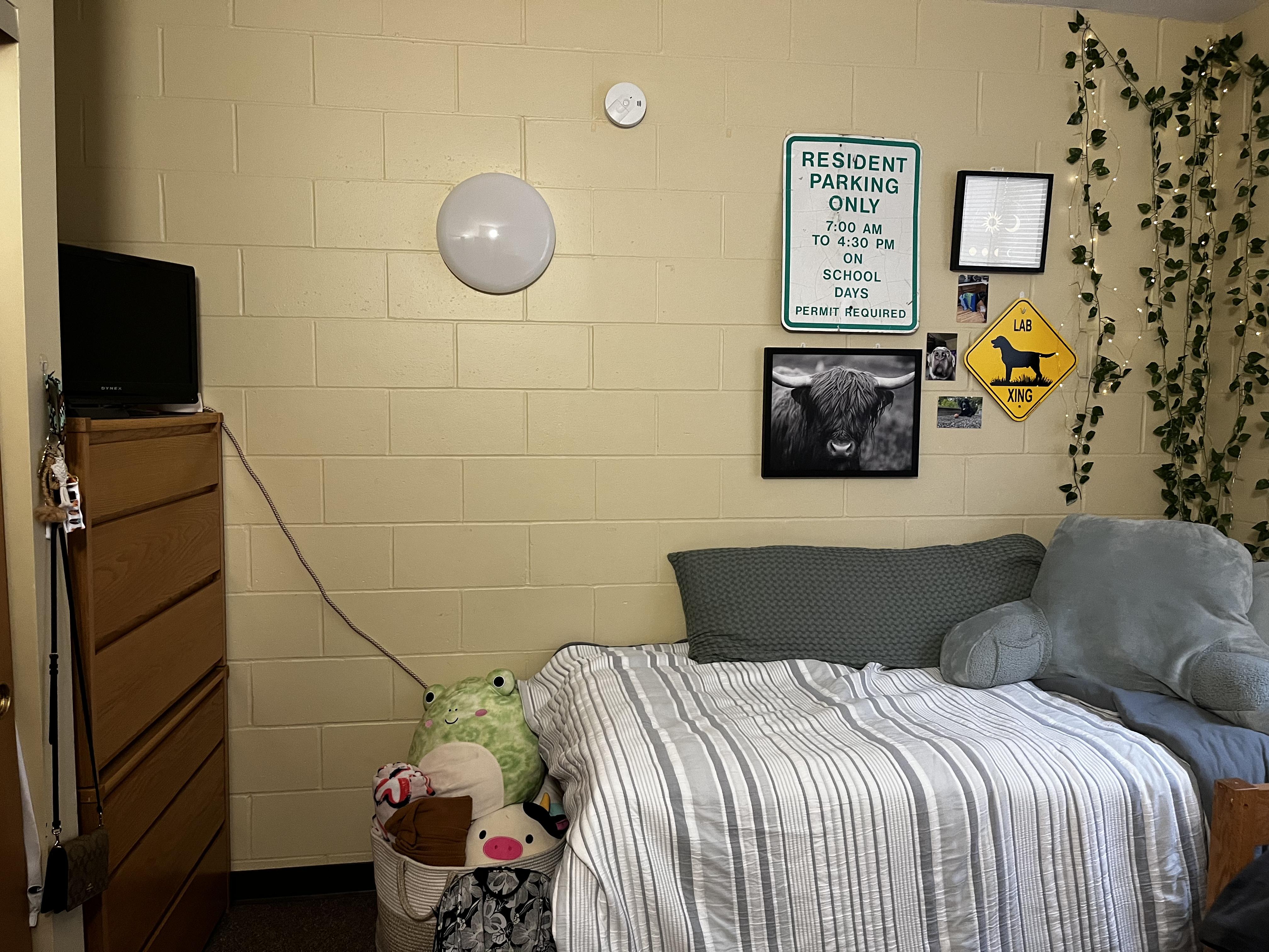 Rose Terrace Apartments Viterbo University