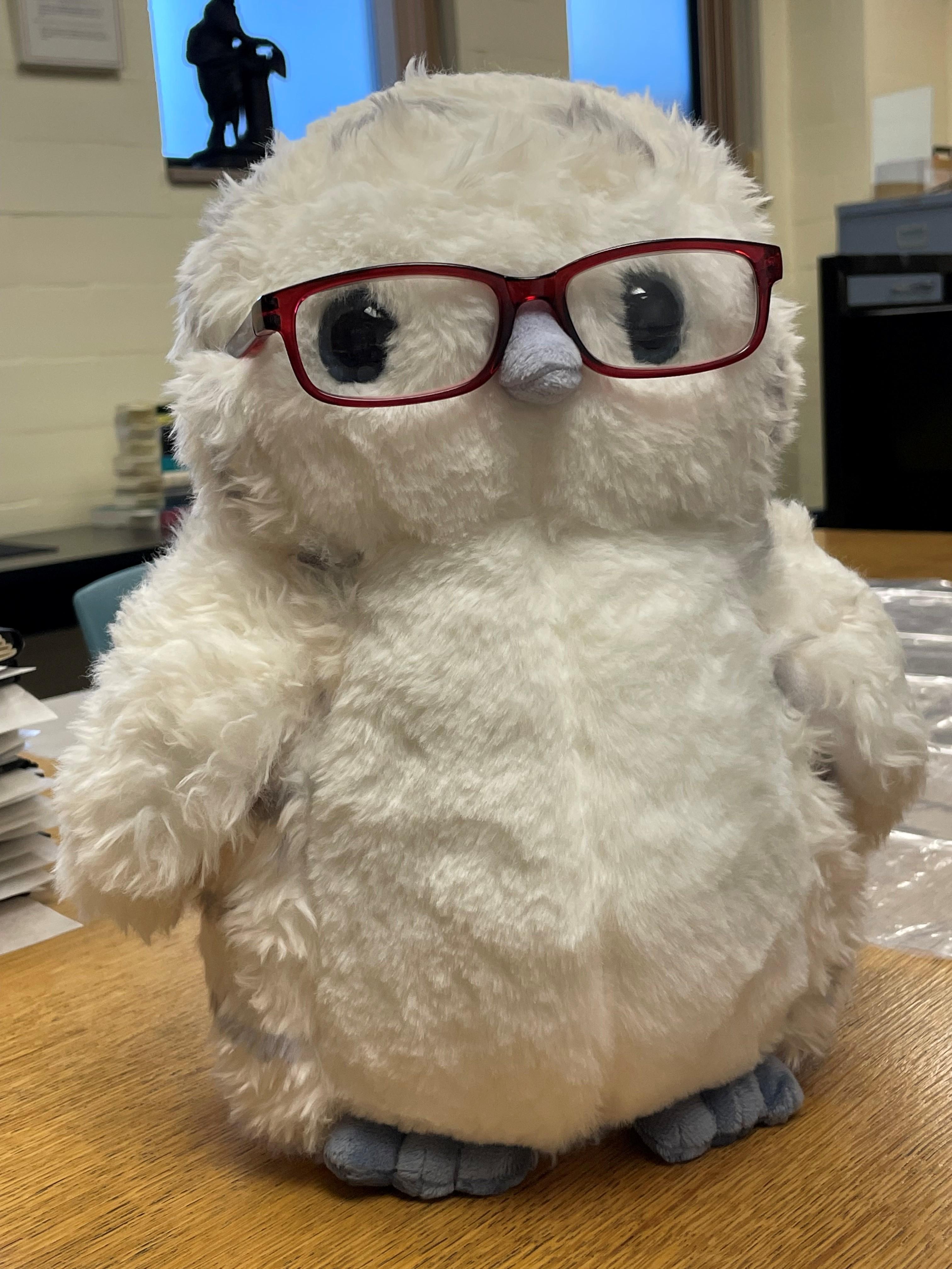 Photo of a stuffed snowy owl wearing red-framed glasses