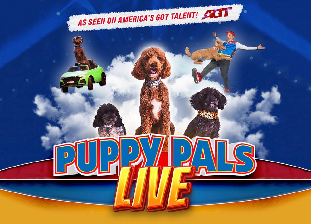 Puppy Pals Live - As seen on America's Got Talent! AGT