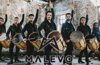 Malevo