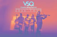 Vitamin String Quartet