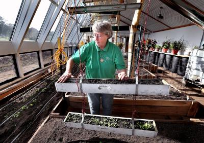 SIster Lucy greenhouse