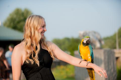Aubrey Dorn, Biochemistry Major with Parrot