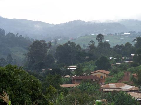Village in Cameroon