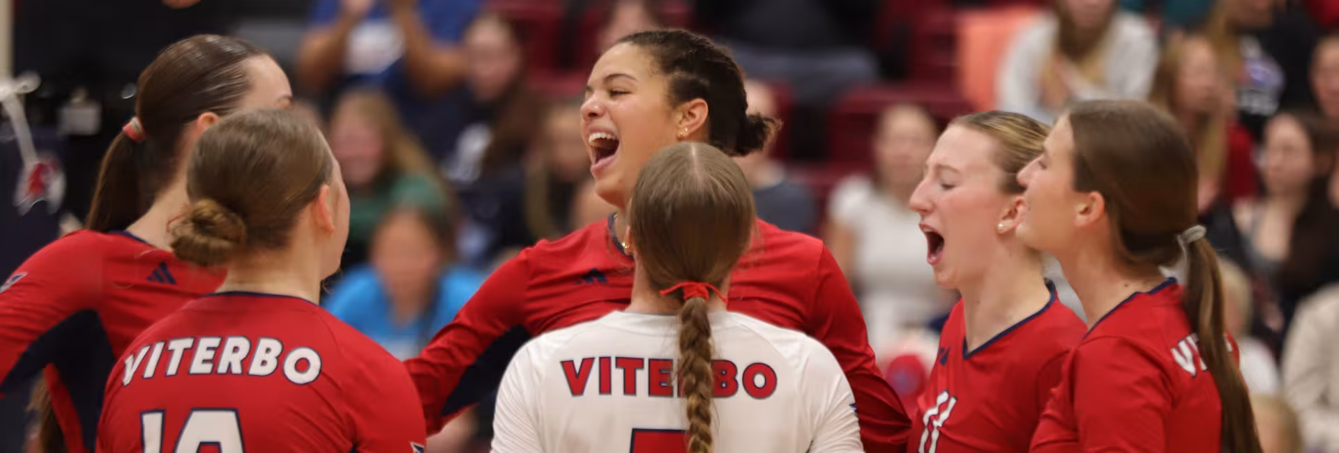 Volleyball players