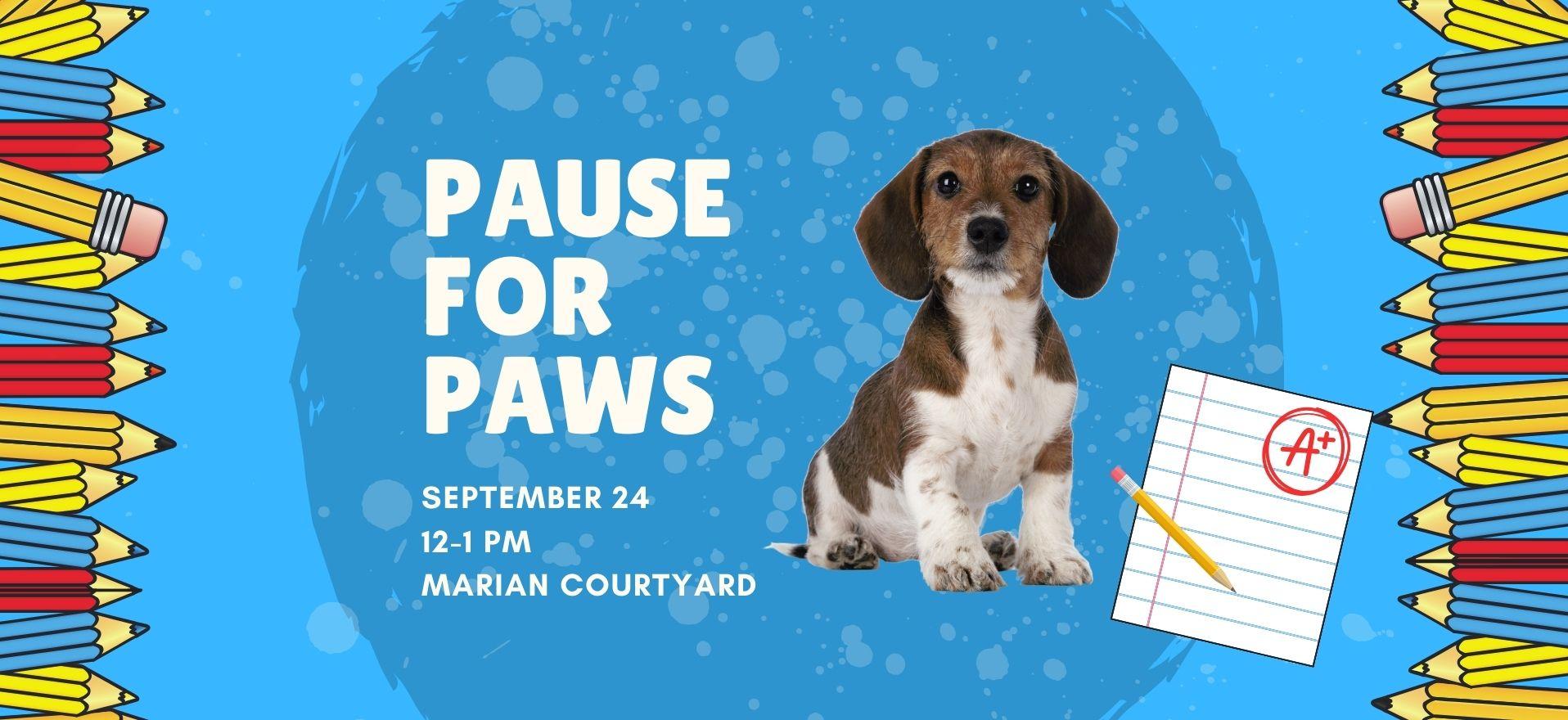 Pause for Paws