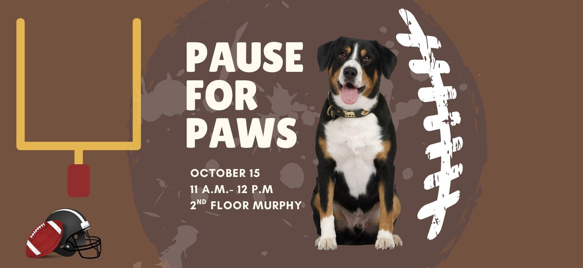 Pause for Paws