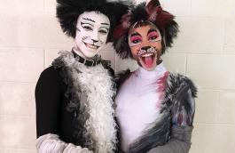 Two-Cats-Actors