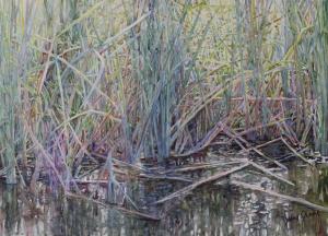 Realistic painting of a cattail pond