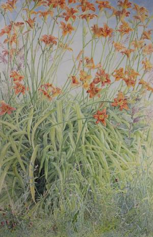 realistic painting of orange ditch lilies