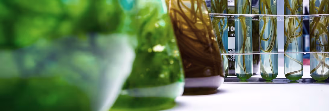 Beakers and test tubes with biochem samples
